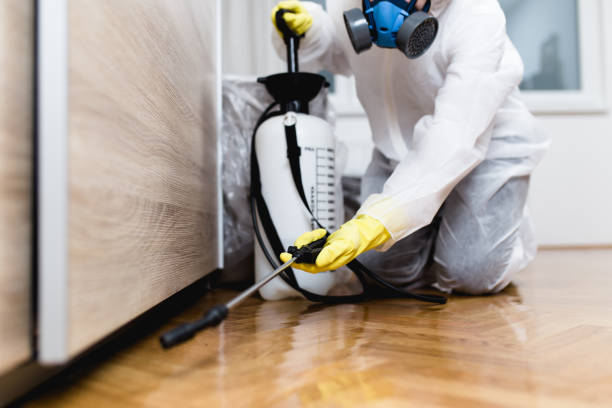 Best Emergency Pest Control  in Cos Co, CT