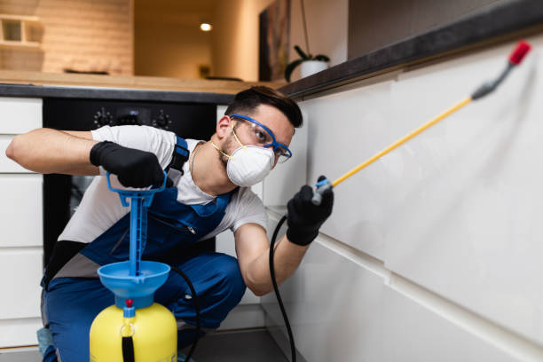 Flea Control Services in Cos Co, CT