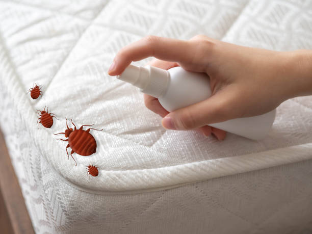 Best Residential Pest Control  in Cos Co, CT