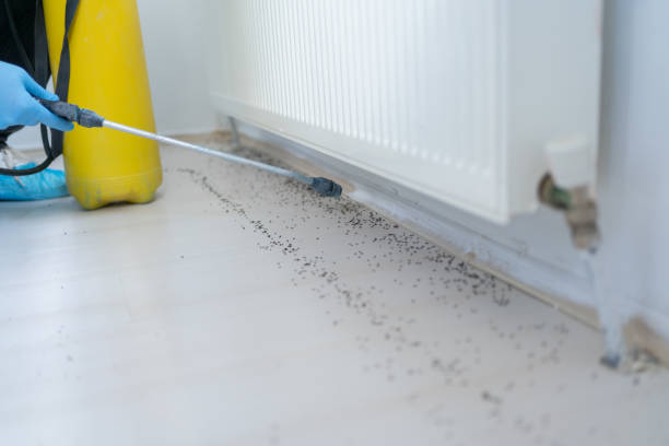 Best Local Pest Control Services  in Cos Co, CT