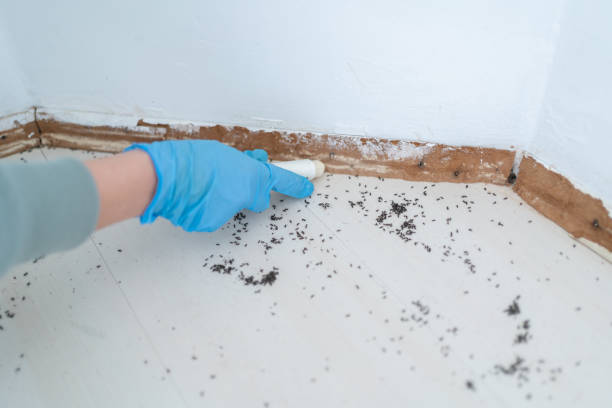 Best Cockroach Control Services  in Cos Co, CT